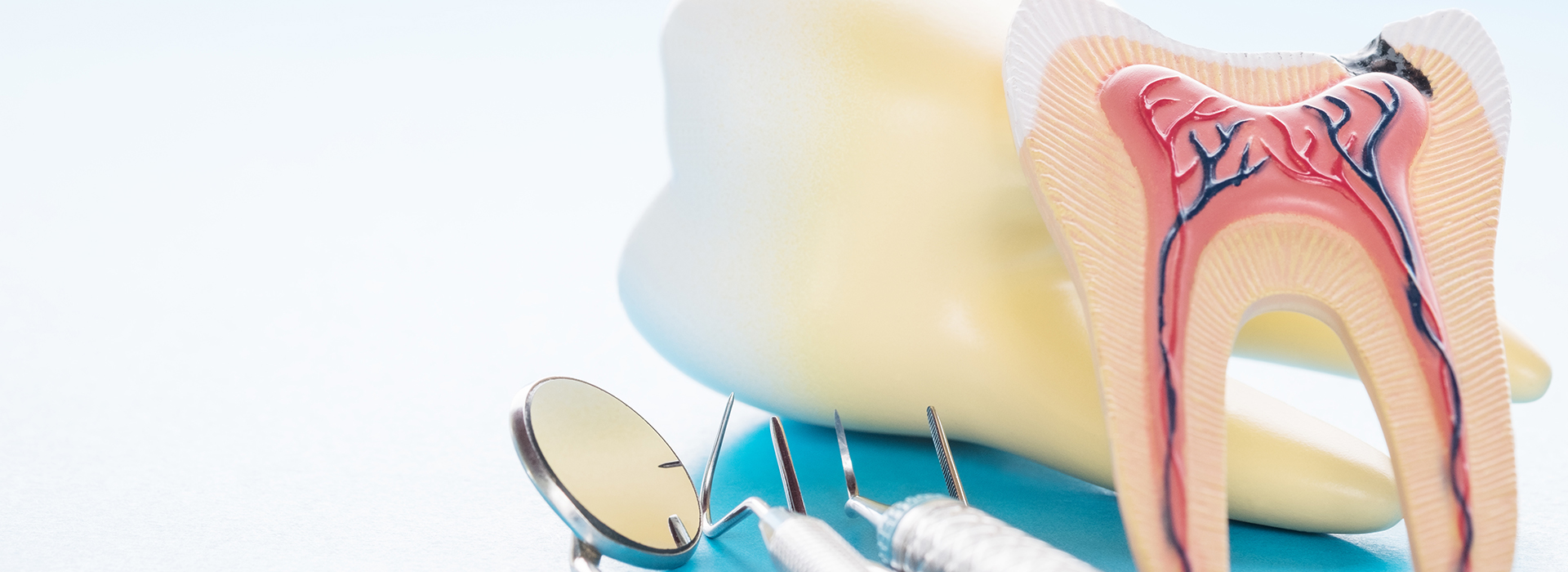 The image shows a dental model with a toothbrush and dental floss, accompanied by a diagram of teeth and gums.